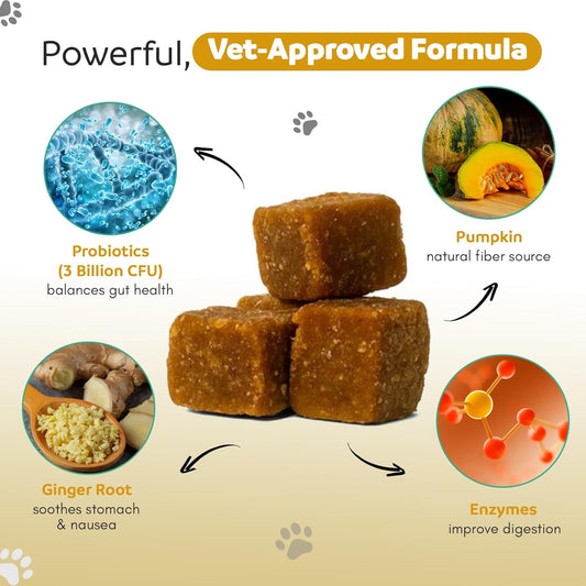 Ginger & Co Dog Probiotic Chews – Digestive Support for Loose Stool, Gas & Sensitive Stomach – Pumpkin, Enzymes & 1 Billion CFU Probiotics – Cold Pressed, No Fillers – Made in USA ~ 120 Chews