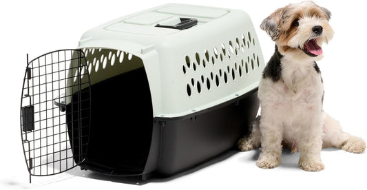 Petmate Pet Porter Fashion Dog Kennel Plastic Crate for Pets 15-20 lbs, Pet Carrier For Home and Travel, Made in USA, 24" L x 14.5" H, Pale Aqua and Black
