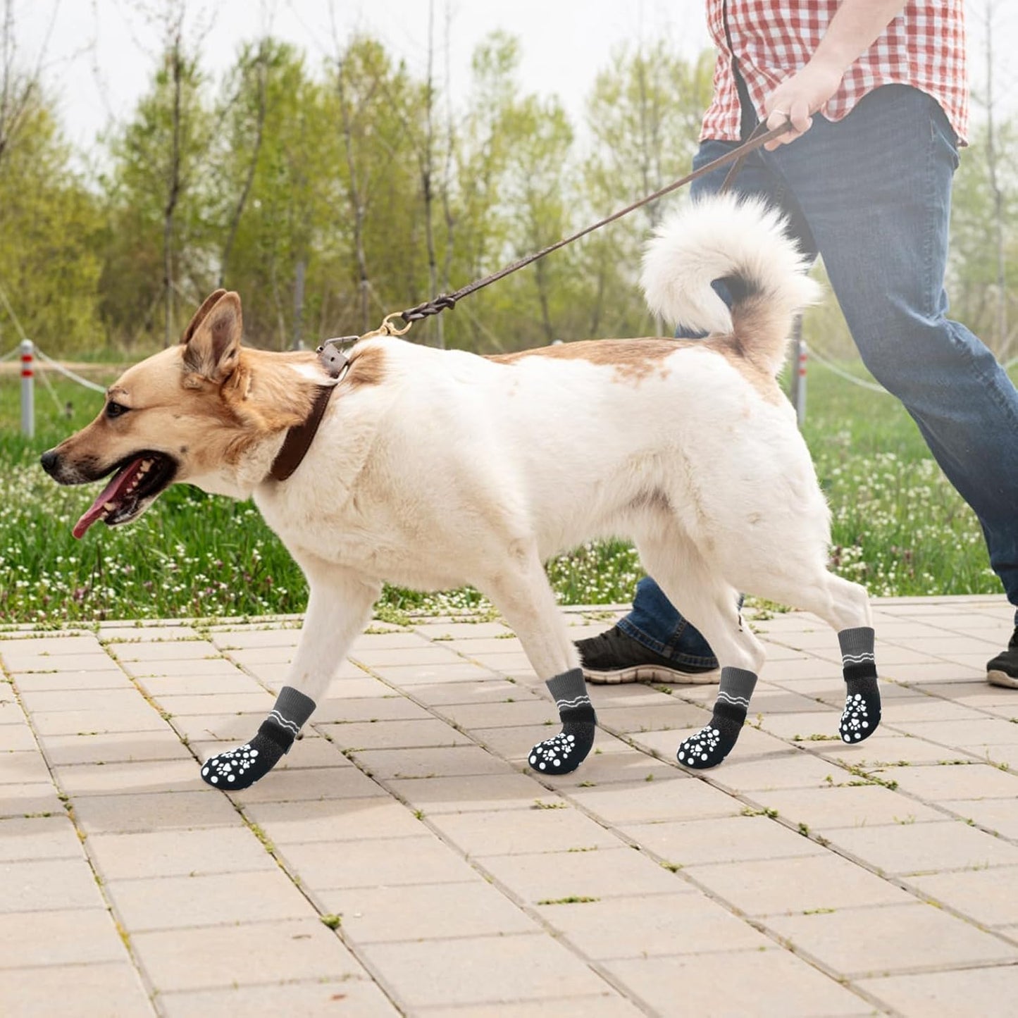 BINGPET 6PCS Dog Socks to Prevent Licking Paws with Grippers for Hardwood Floors Anti Slip, Winter Pet Shoes Booties, Extra-Thick Grip Dog Boots & Paw Protectors for Small Medium Large Senior Dogs, M