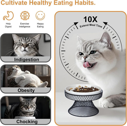 2PCS Raised Ceramic Cat Slow Feeder Bowl Elevated Food Bowl with Stand, Cat Slow Bowl for Wet Food and Dry Food,Slow Down Eating Speed, Whisker Friendly Pet Puzzle Feeder for Kitten and Small Dog