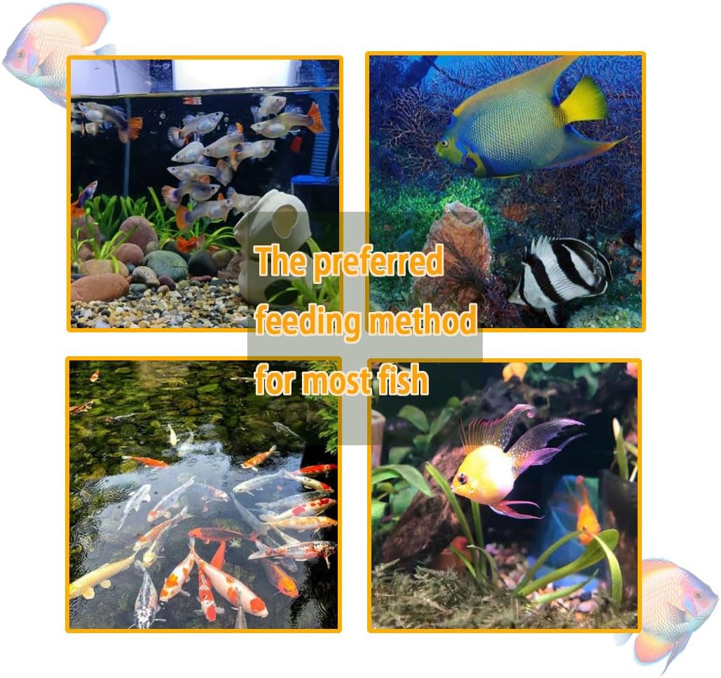 Aquarium Vegetable Feeder - Bottom Sinking Fish Feeder, Fresh Food Holder for Malawi Cichlid, Pleco, Clown Loach & Snails - 2 Pack