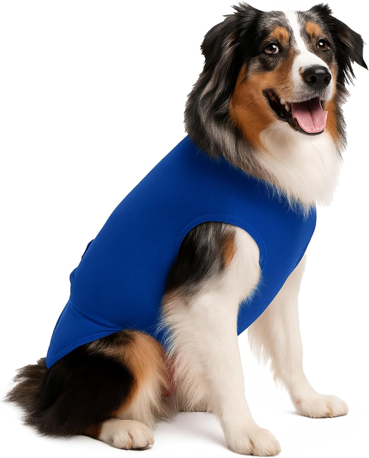 Secures Male Dog Diapers Or Dog Diapers Female - Wrap Around Legs for Superior Fit - Fits (LL - Blue)