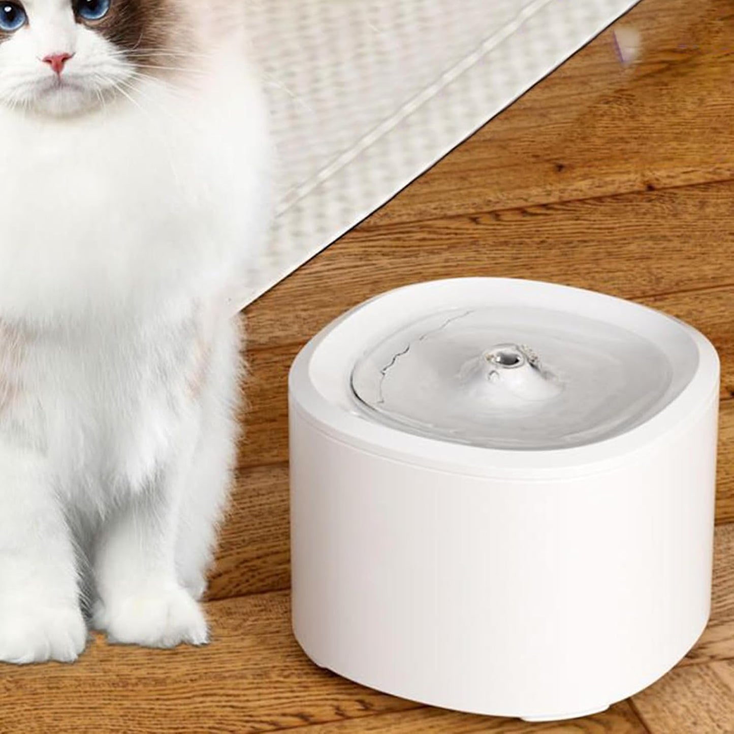 Cat Water Bowls Fountain,3L Leakproof Pet Supplies - Cat Drinking Fountain Water Dispenser,for Kitten Puppy Dog Indoor Home Apartment Living Room Balcony