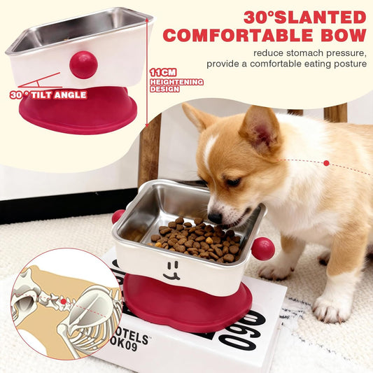 Elevated Cat & Small Dog Bowl - 30° Slanted Anti-Slip Feeding Bowl, Detachable Stainless Steel Design, Reduces Stomach Pressure, Comfortable Eating Posture, Easy to Clean, Fits Cats & Small Breeds
