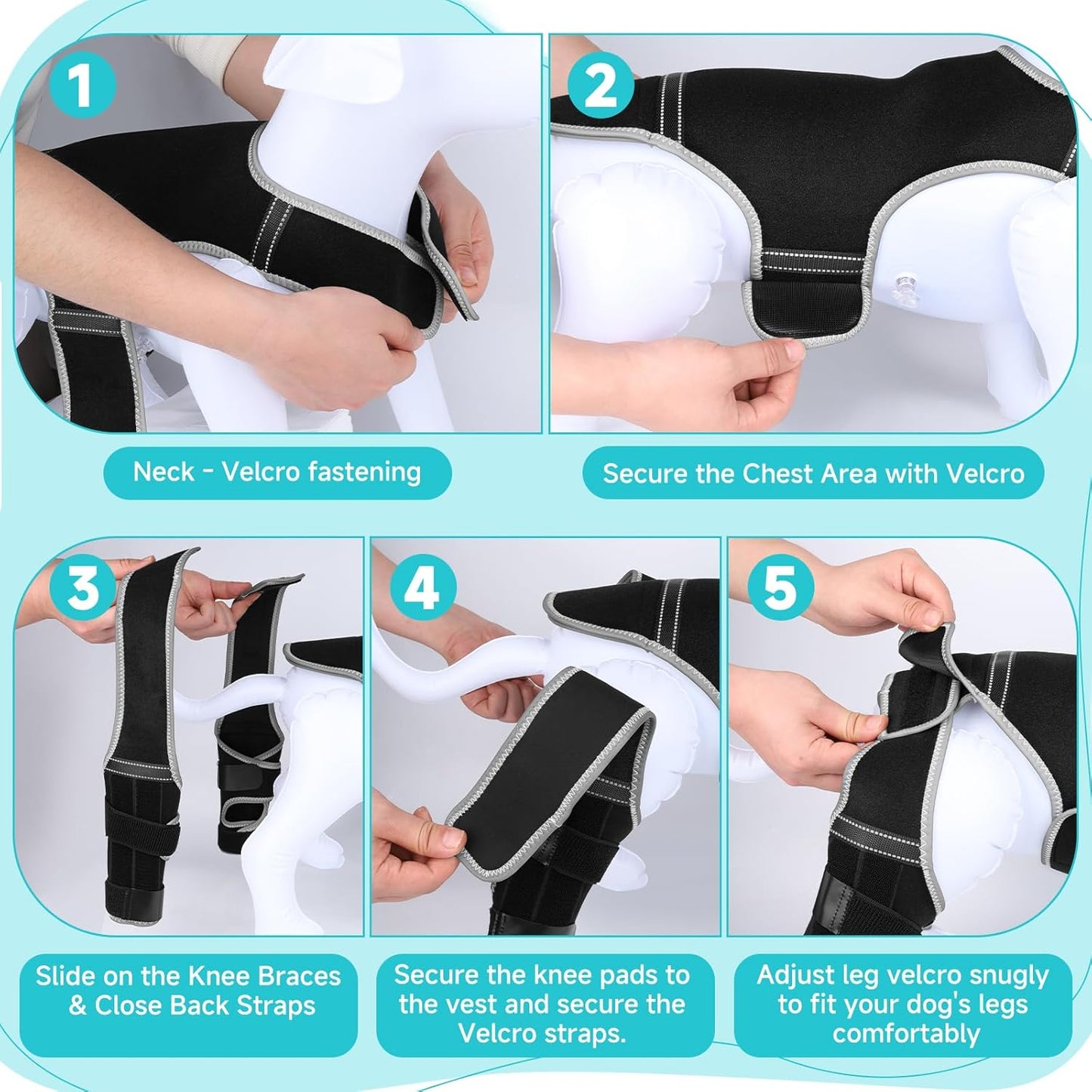 Dog Leg Braces for Torn ACL Hind Leg, Adjustable Dog Knee Brace with 4 Stabilizers, for Dogs with Torn ACL/CCL, Luxating Patella, Ligament Issues & Hip Dysplasia, Small to Large Dogs (M)