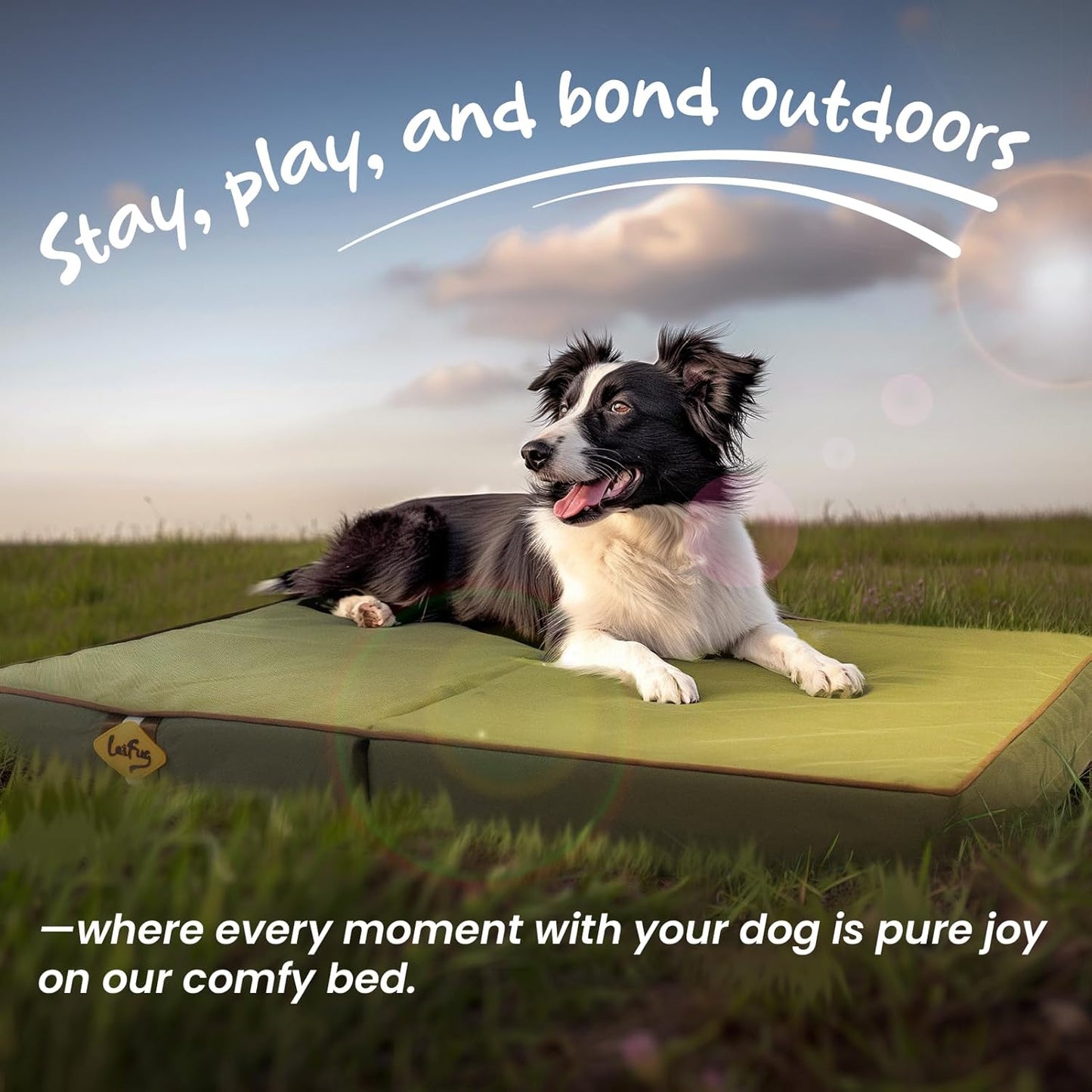 Laifug Foldable Waterproof Dog Bed for Large Dogs - Outdoor Orthopedic Dog Bed with Washable Removable Cover, Pet Mattress with Handles, Army Green, (44 x 32 x 3.5, inches)