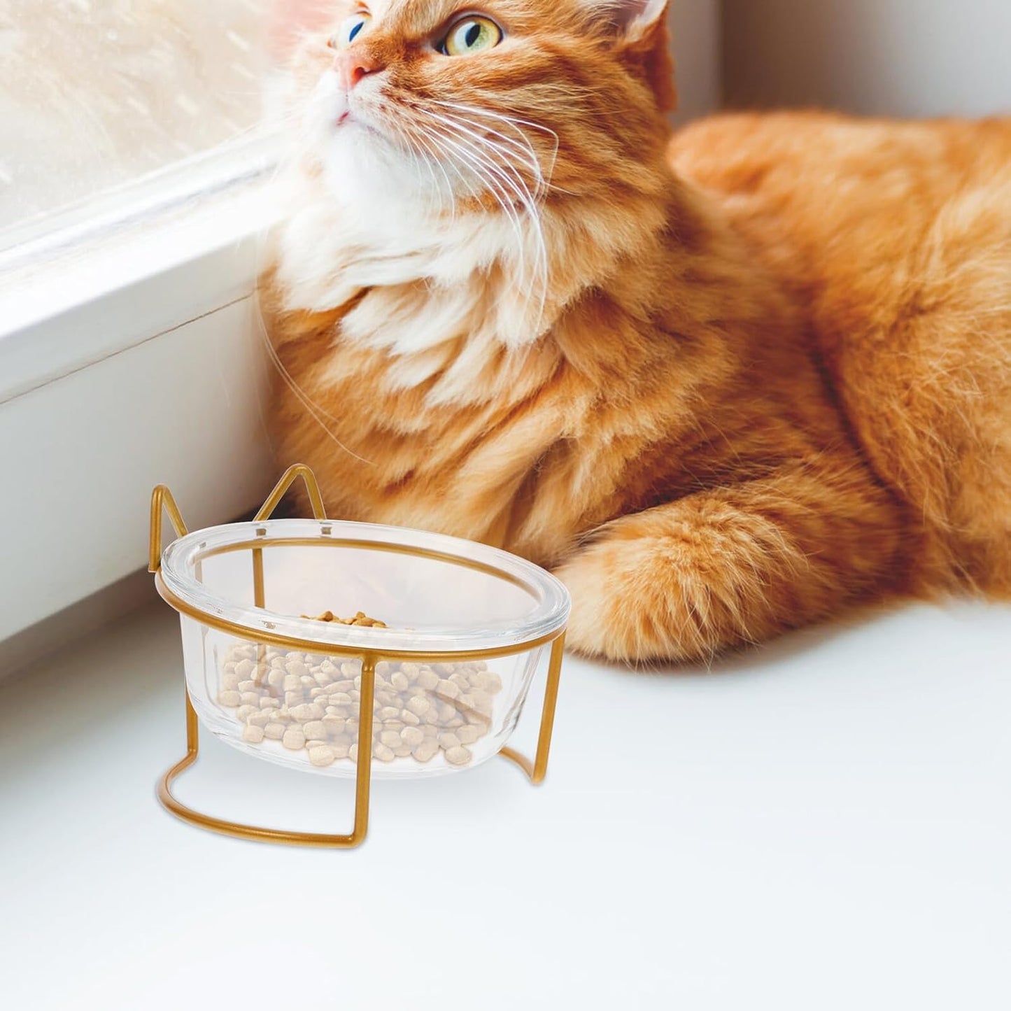 Milisten Glass Raised Cat Bowl with Neck Protection, Slant Design Pet Food and Water Feeder, Whisker-Friendly Tilted Feeding Dish for Cats, Single High Base Bowl for Indoor Use
