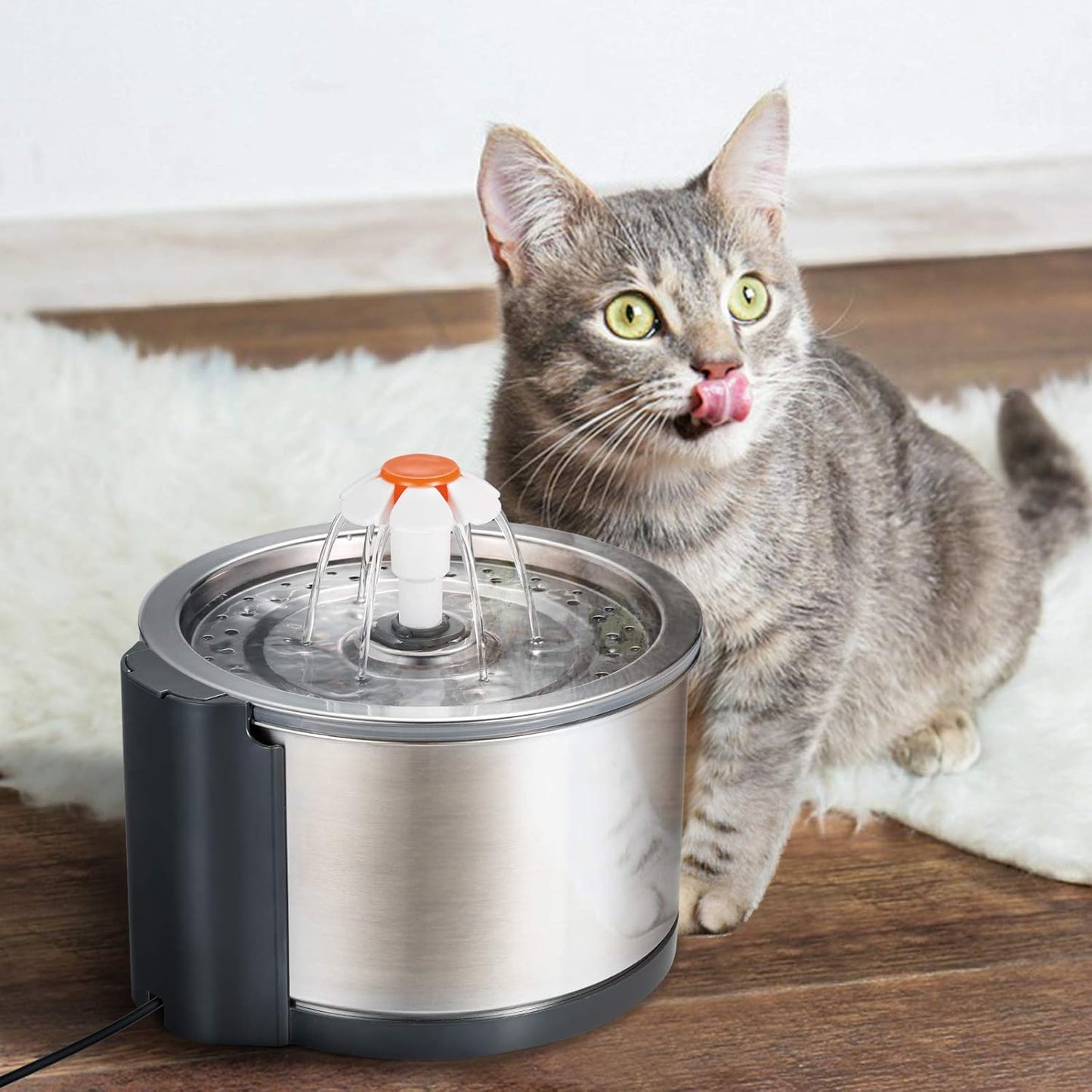 iPettie Cat Water Fountain Stainless Steel, 84oz/2.5L, 4-Stage Filtration, Ultra Quiet Metal Cat Water Fountain with LED Light & Filter for Pet, Kitty & Dog