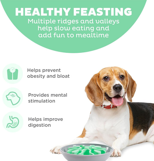 Outward Hound Fun Feeder Wobble Slo-Bowl, Slow Feeder Dog Bowl, One-Size, Mint