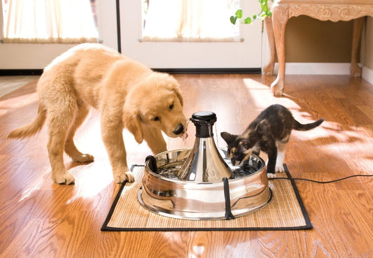 PetSafe Drinkwell Stainless Steel 360 Multiple Pet Fountain - Scratch and Rust Resistant Automatic Water Dispenser for Cats or Dogs - Adjustable Flow Control - 128 Ounce (3.8 Liter) - Filters Included