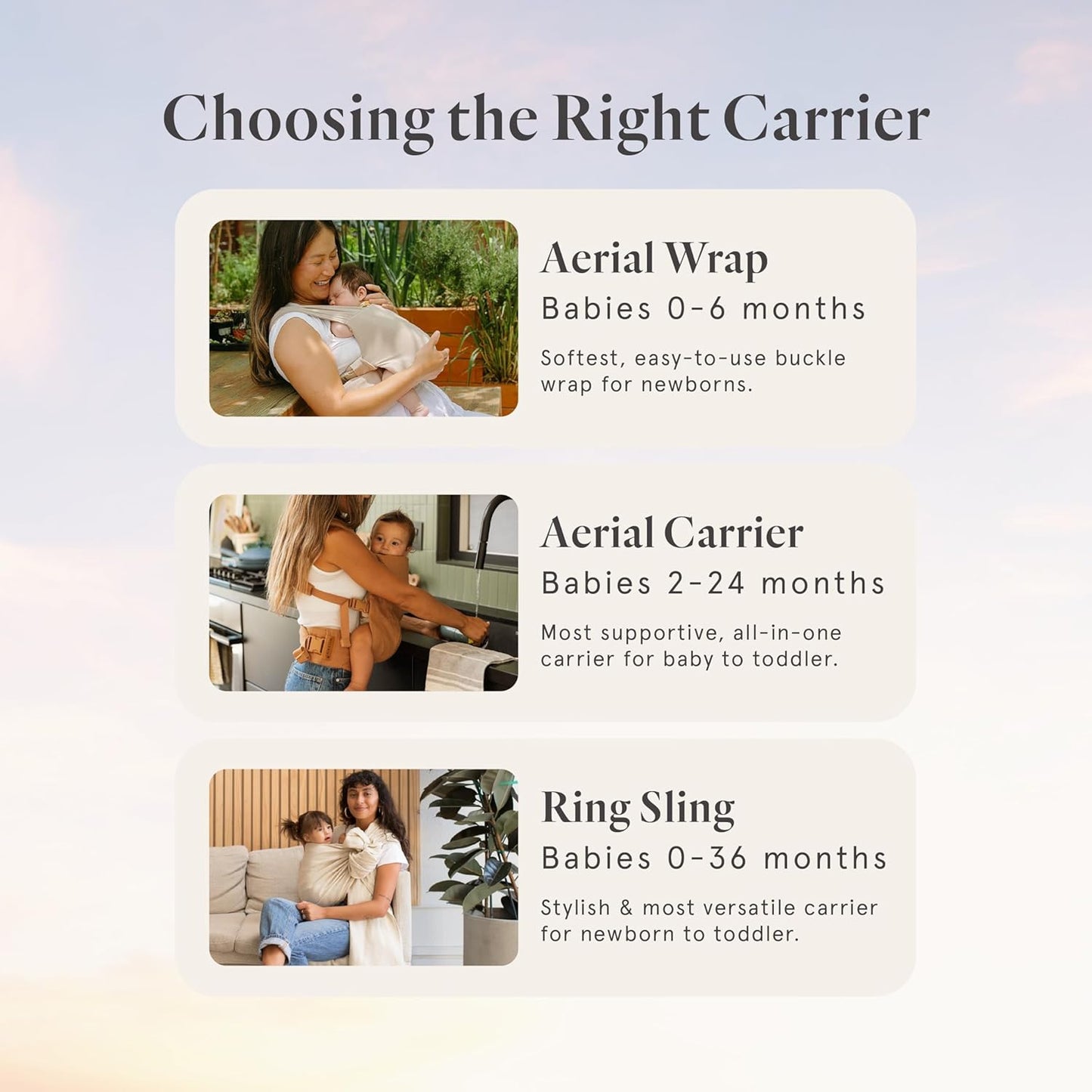 WildBird - Aerial Buckle Wrap - 0-6 Months - Standard (XS-XL) Sparrow - Newborn Baby Carrier - Front Carry - Soft Fabric, Straps, Head Support, Padded Waist Belt - Baby Essentials - New Mom Gifts