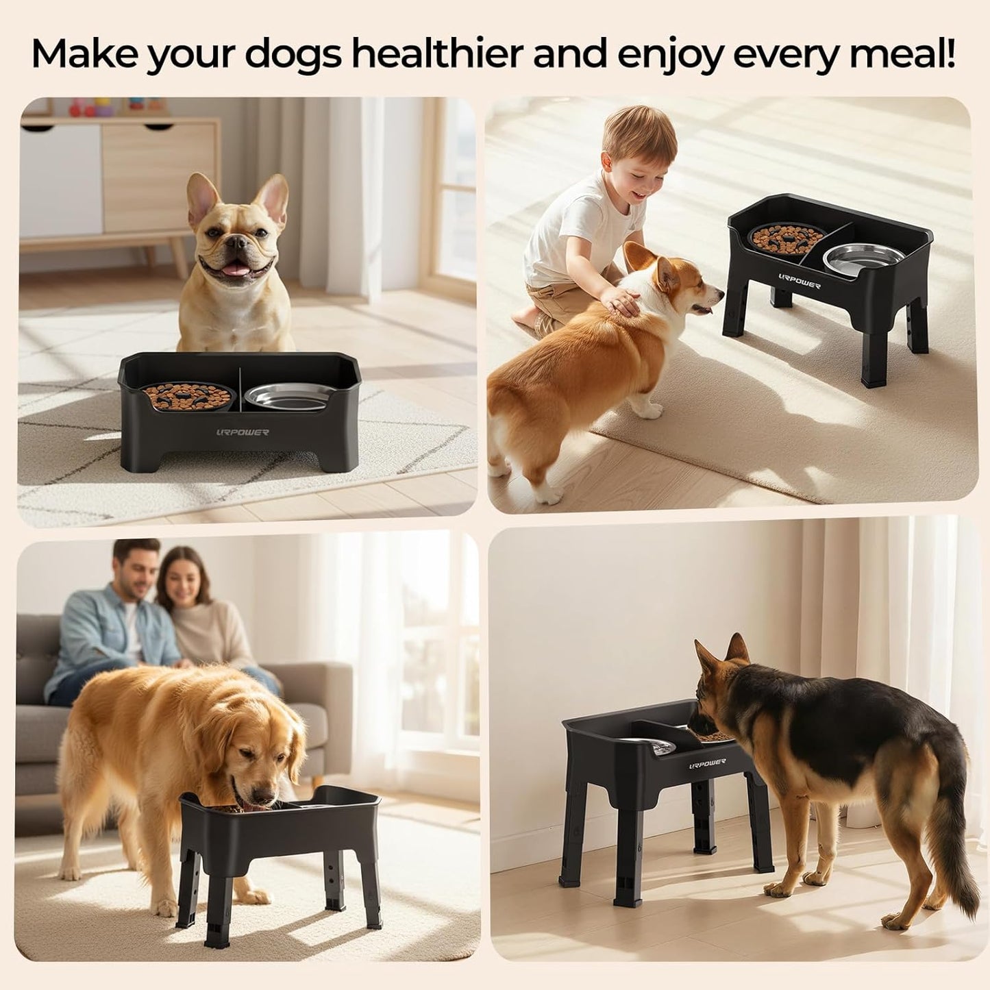 URPOWER Mess Proof Elevated Dog Bowls, High Wall Splash Guard Design, 4 Height Adjustable Raised Bowl Stand, 2 Stainless Steel Bowls, Non-Slip Food Water Set for Small Medium Large Dogs