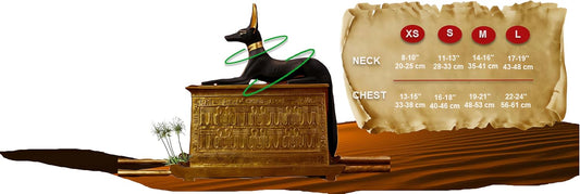 JANOO - Cooling Vest Gel Pack for Dogs (X-Small)