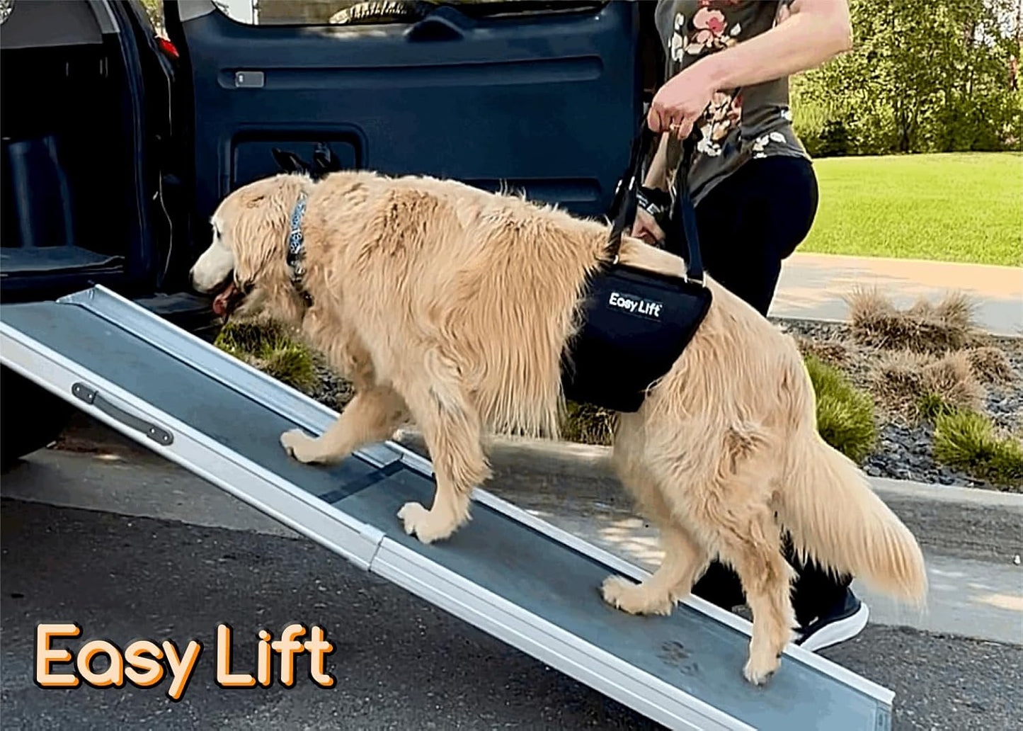 Easy Lift Dog Support Sling, Rear Hind Leg Harness for Injured & Senior Dogs, or Surgery Recovery & Rehabilitation, Padded for Comfort, Ergonomic Design, Machine Wash & Dry (Large/Extra Large)