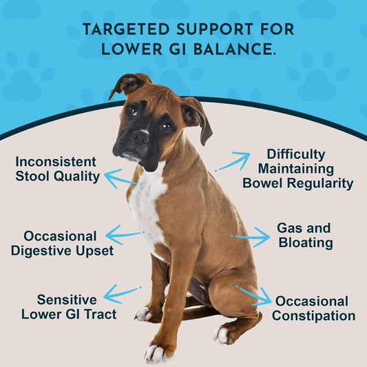 Animal Essentials Colon Rescue - Dog Stool Softener, Organic Slippery Elm Bark, Fast Acting Anti Diarrhea Liquid Drops for Dogs & Cats, Natural Constipation Relief Supplement for Pets - 2 fl oz