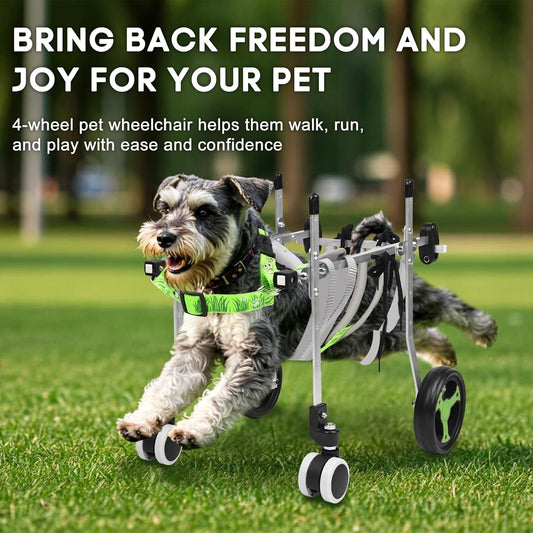 4-Wheel Dog Whee/lchair for Back Legs, Helps Pets Walk Run and Play Again, Suitable for Small/Medium Pets Under 13 lbs