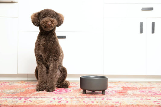 Waggo Uplift Ceramic Dog Bowl for Small Medium and Large Breeds - Heavyweight and Durable Pet Food and Water Dish Crock, Dishwasher Safe, Modern, Elevated Feeder (Small, Black)