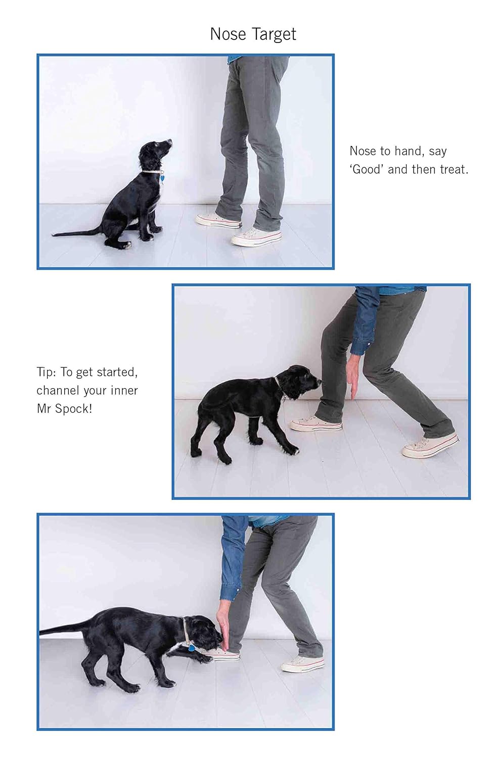 Easy Peasy Puppy Squeezy: Your Simple Step-by-Step Guide to Raising and Training a Happy Puppy