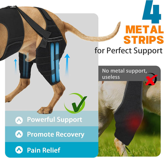 Dog Knee Brace for Back Leg, Adjustable Dog Leg Brace with 4 Stabilizers, Hip Support to Reduces Pain, Ligament Injuries & Luxating Patella & ACL CCL for Small Medium Large Dogs