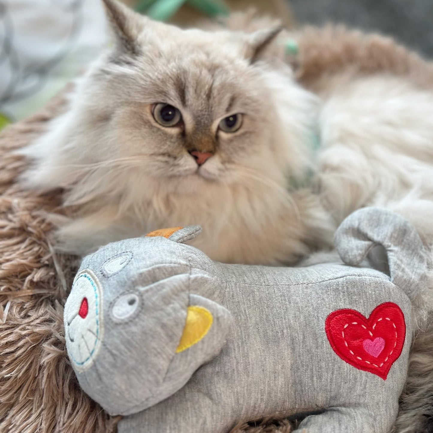 AFP Heartbeat Cat Calming Toy Heartbeat Soothing Kitty Toys Stuffed Plush Warm Toys for Cats Comfort Kitty Stress Relief and Sleep Aid Toy