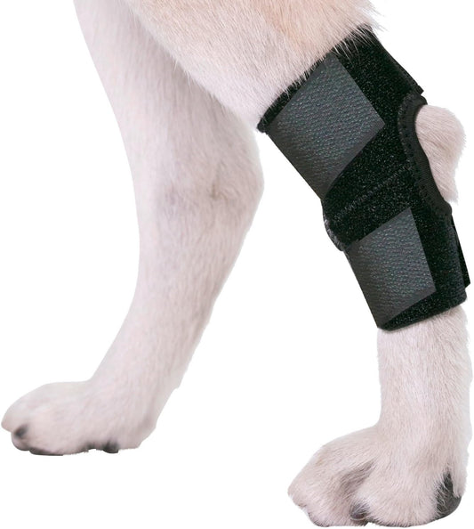 AGON® Dog Leg Braces for Back Leg wrap hock Compression Protects Wounds and Helps heal hind Legs Rear Ankle Joint, preventing Injuries, sprains Providing Stability for Dogs, Canines Arthritis (Large)