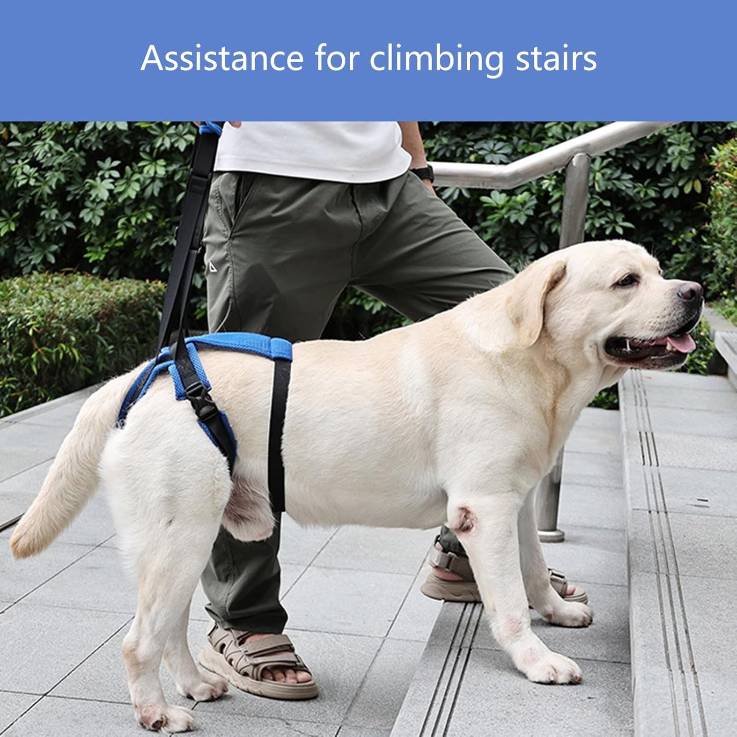 Pet Rear Leg Assistance Strap with Upgraded Design Adjustable Belt for Joint Pressure Relief and Easy Movements Adjustable Dog Rear Harness Dog Assist Harness