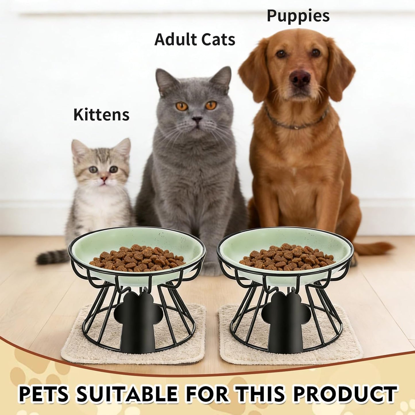 Shallow Cat Dishes with Metal Stand,Elevated Cat Bowl,Ceramic Cat Bowls,Raised Cat Food Bowls,Pet Feeder for Indoor Cats,Kitten and Small Dogs, Dishwasher Safe