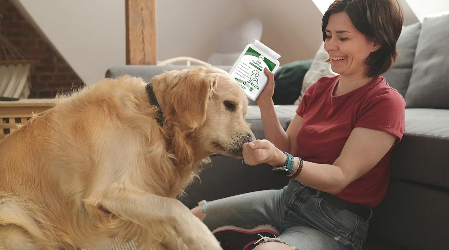 Dog Probiotics | 5-Strain 2 Billion CFU + Digestive Enzymes | Firm Stools, Less Gas & Bloating | Prebiotic Inulin + Full B-Complex Vitamins | Chicken Flavour Tablets | UK GMP | 120 Count