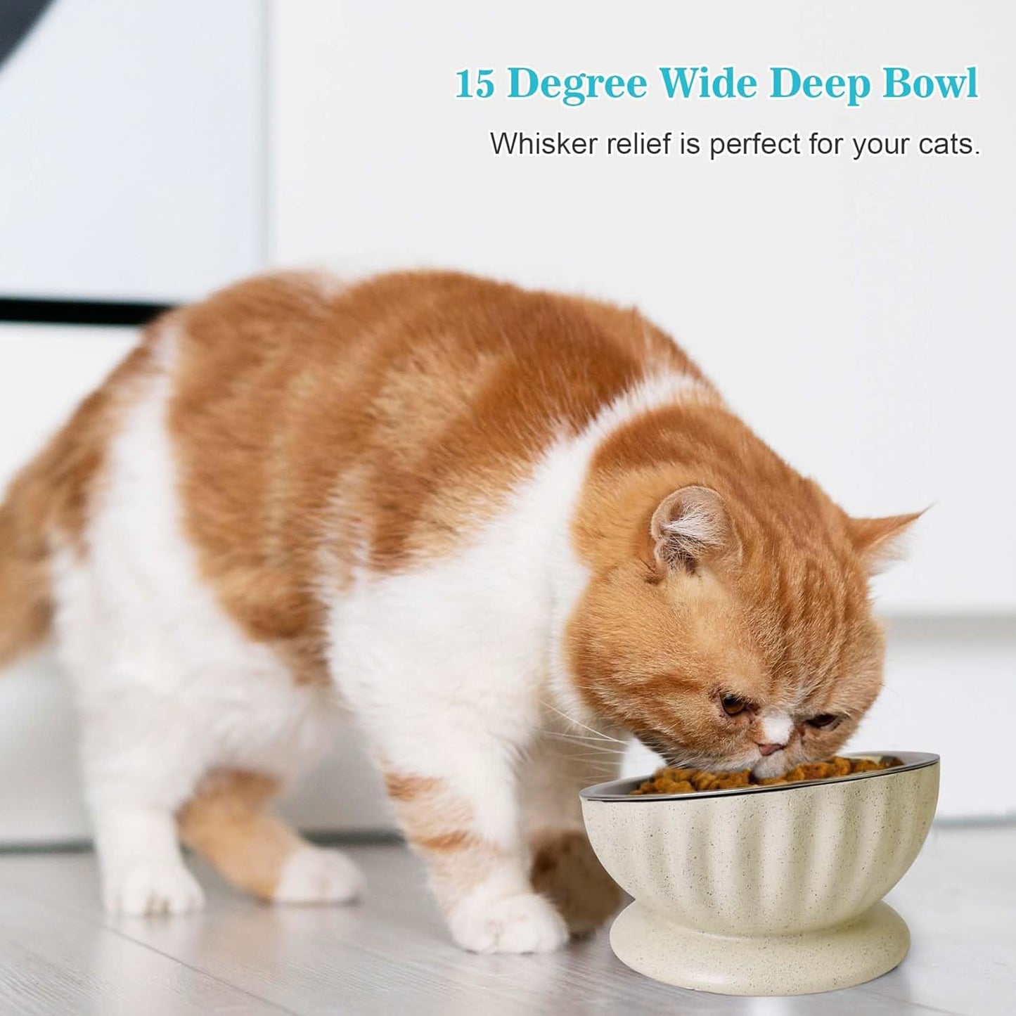 Dog Bowl for Small Dogs, Removable Stainless Steel Dog Bowls with Resin Base, Elevated and Tilted 15° Pet Food/Water Bowl,15oz Pet Food Bowl for Small Sizes