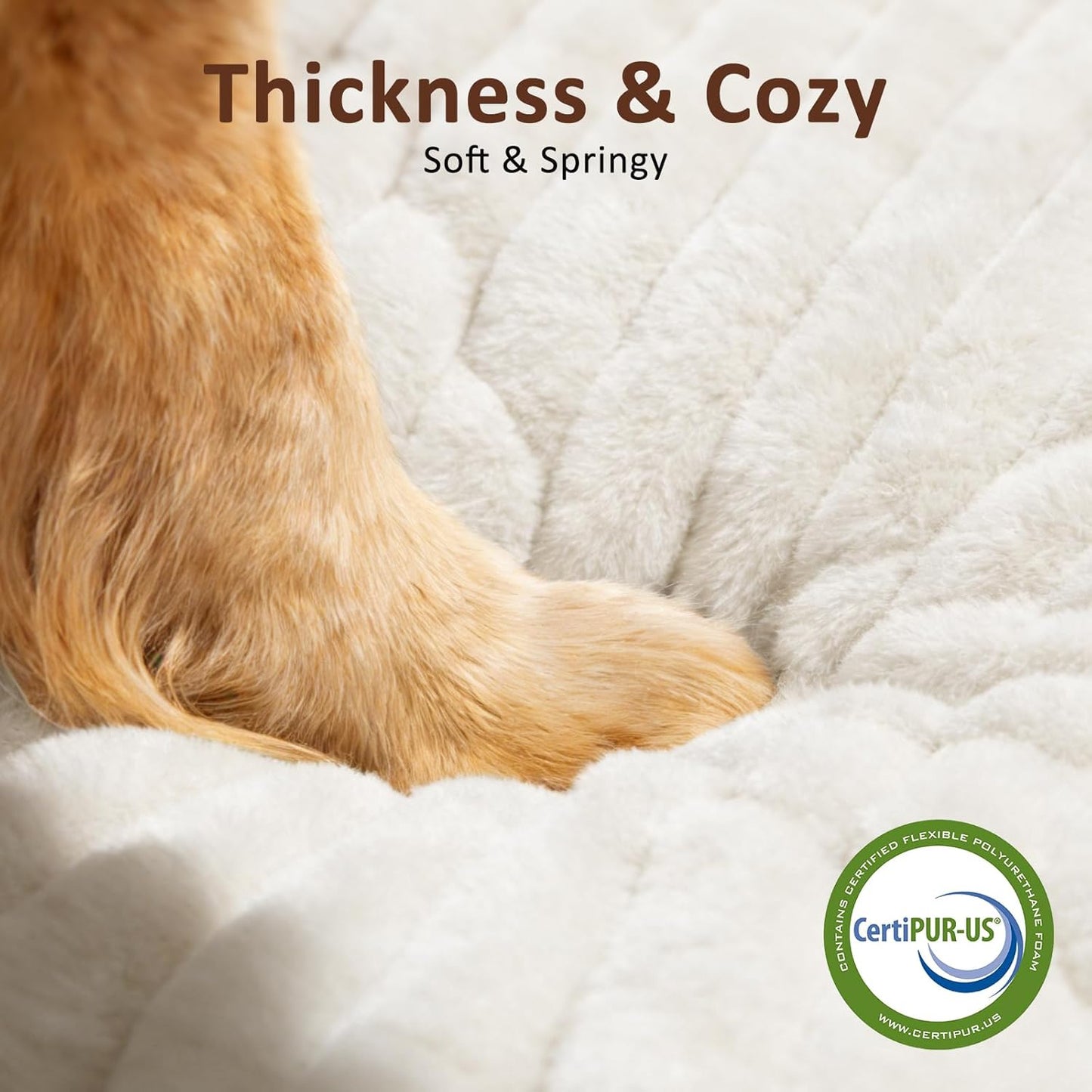 Dog Beds Large Sized Dog, Flat Pet Beds with Removable Washable Cover, Pet Mat Cute Pet Crate Bed Thick Shredded Chopped Crate Foam & Anti Slip Bottom for Indoor, 35"x23"x4" Cream