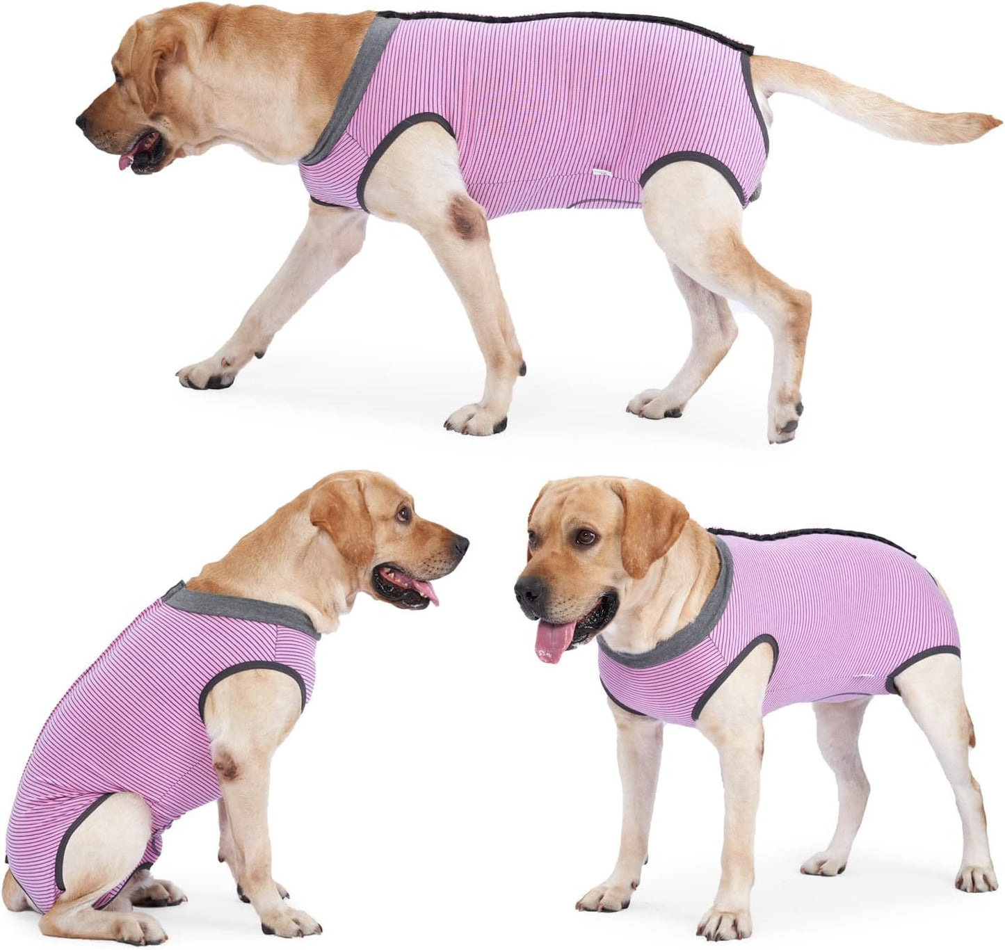 Dotoner Dog Recovery Suit Abdominal Wound Puppy Surgical Clothes Post-Operative Vest Pet After Surgery Wear Substitute E-Collar & Cone(M,Pink)