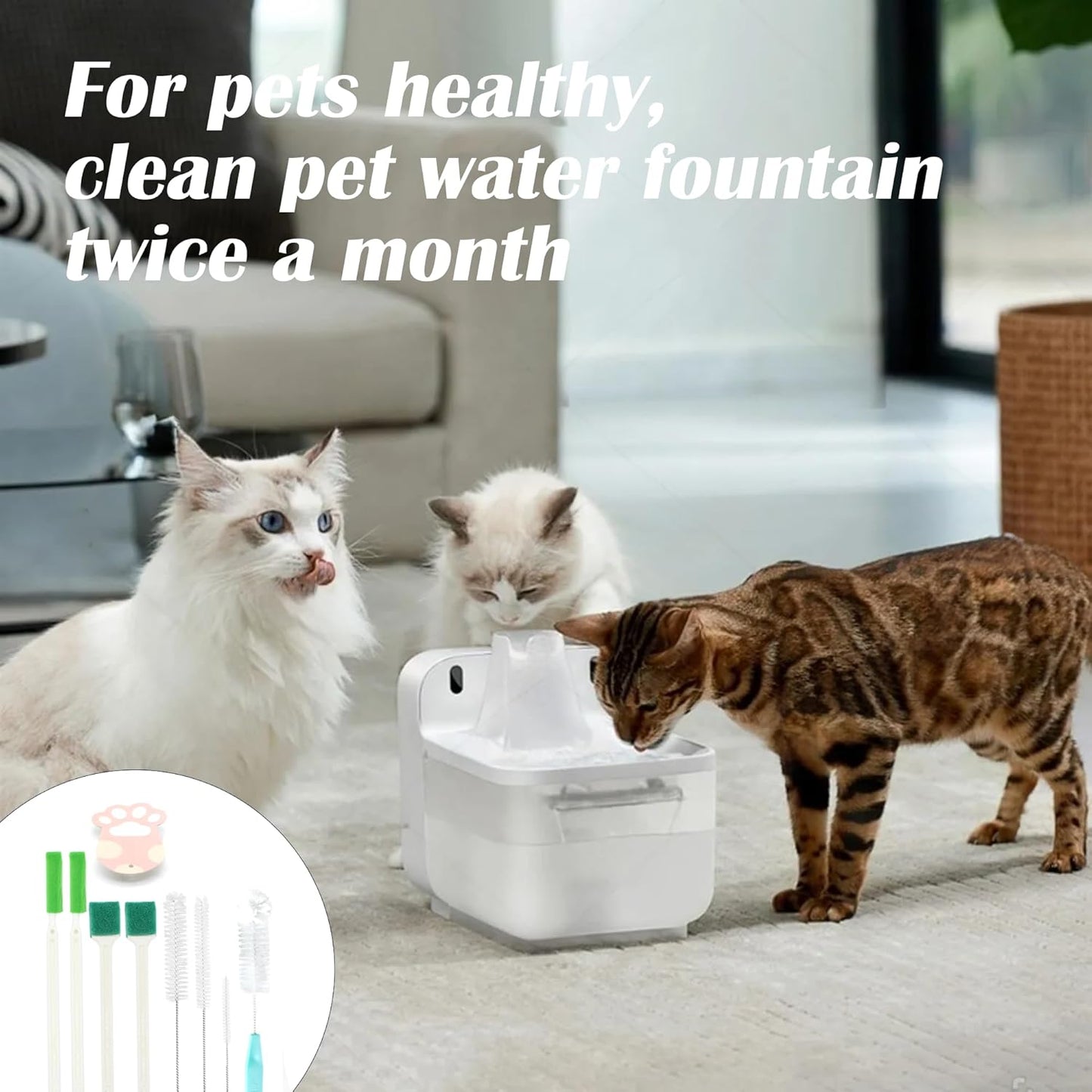 9PCS Pet Water Fountain Cleaning Kit with Compressed Sponge and Storage Box,Dog and Cat Water Fountain Brushes Fit Most Pet Water Dispensers,Pet Drinking Dispenser Cleaning Kit Cleaning brush