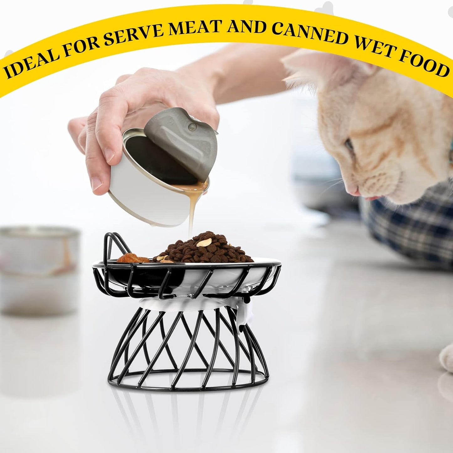 Sunnyray Cat Feeder, 4 Pcs Elevated Ceramic Cat Bowls with Metal Stand, Whisker Friendly, Anti Vomit, Dishwasher Safe, for Dog Pet (Multicolor)