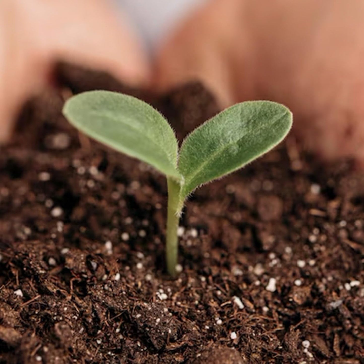 Park Seed Nature’s Aid Garden Soil Inoculant – Enhances Soil Fertility for Beans, Peas, & Vetch, Boosts Nitrogen Fixation for Bigger Vegetable Yields, Granular Formula Treats 150 Feet of Row, 8.7 oz