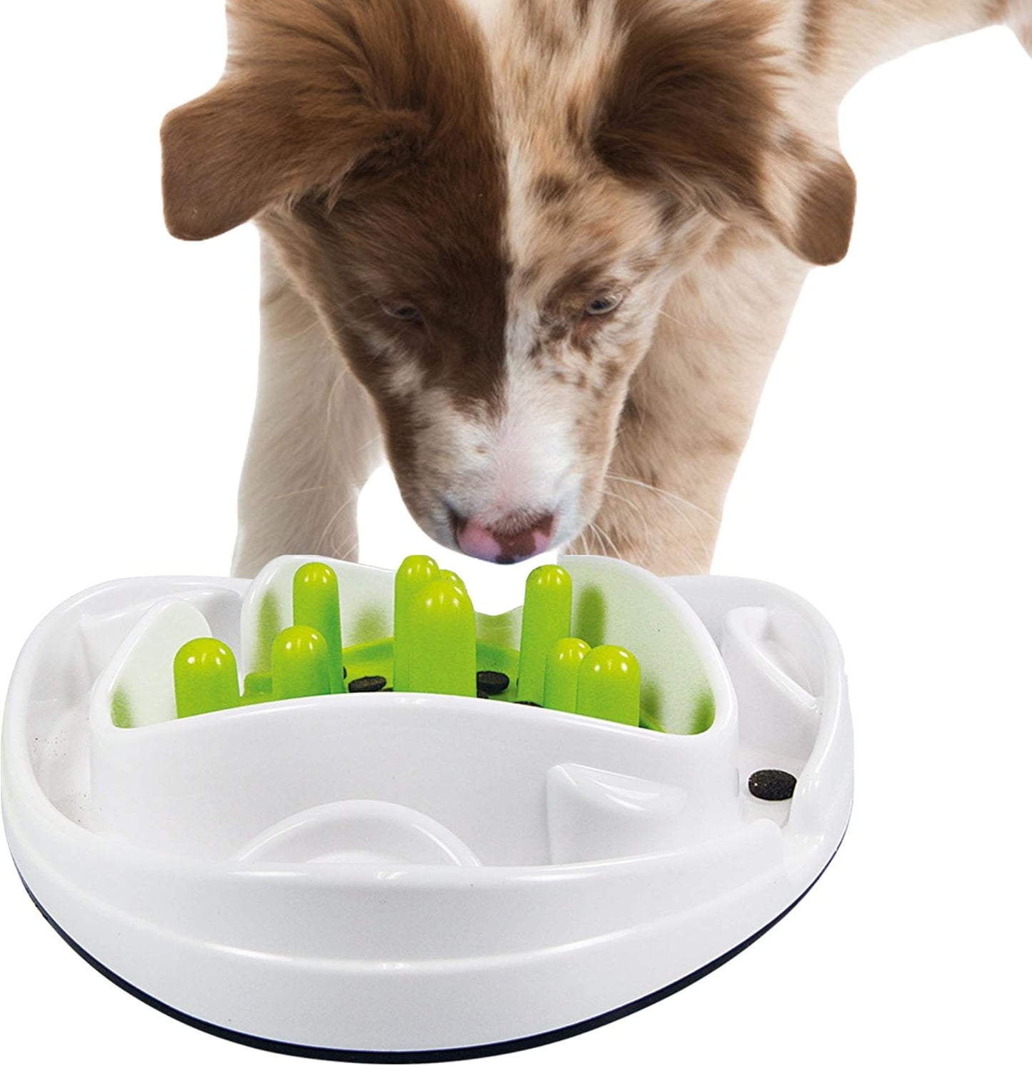 All for Paws Interactives Food Maze Toy for Dogs, 5.45 kg