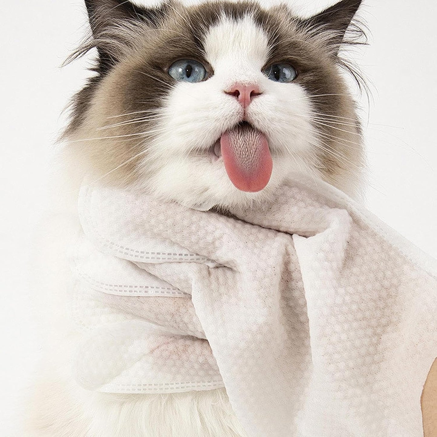 Cat Washing Gloves | Soft Gentle Deodorizing - Pet Cleaning Gloves Grooming Wipes | for Puppy Kitten Medium Large Breed Home Bathroom Shower Bathing Washing