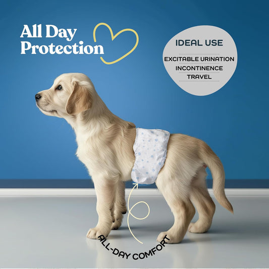 Comfortable Male Dog Diapers - 30-Pack Super Absorbent Disposable Male Dog Wraps- FlashDry Gel Technology, Wetness Indicator Doggie Diapers- Leakproof Belly Wraps for Incontinence, Excitable Urination