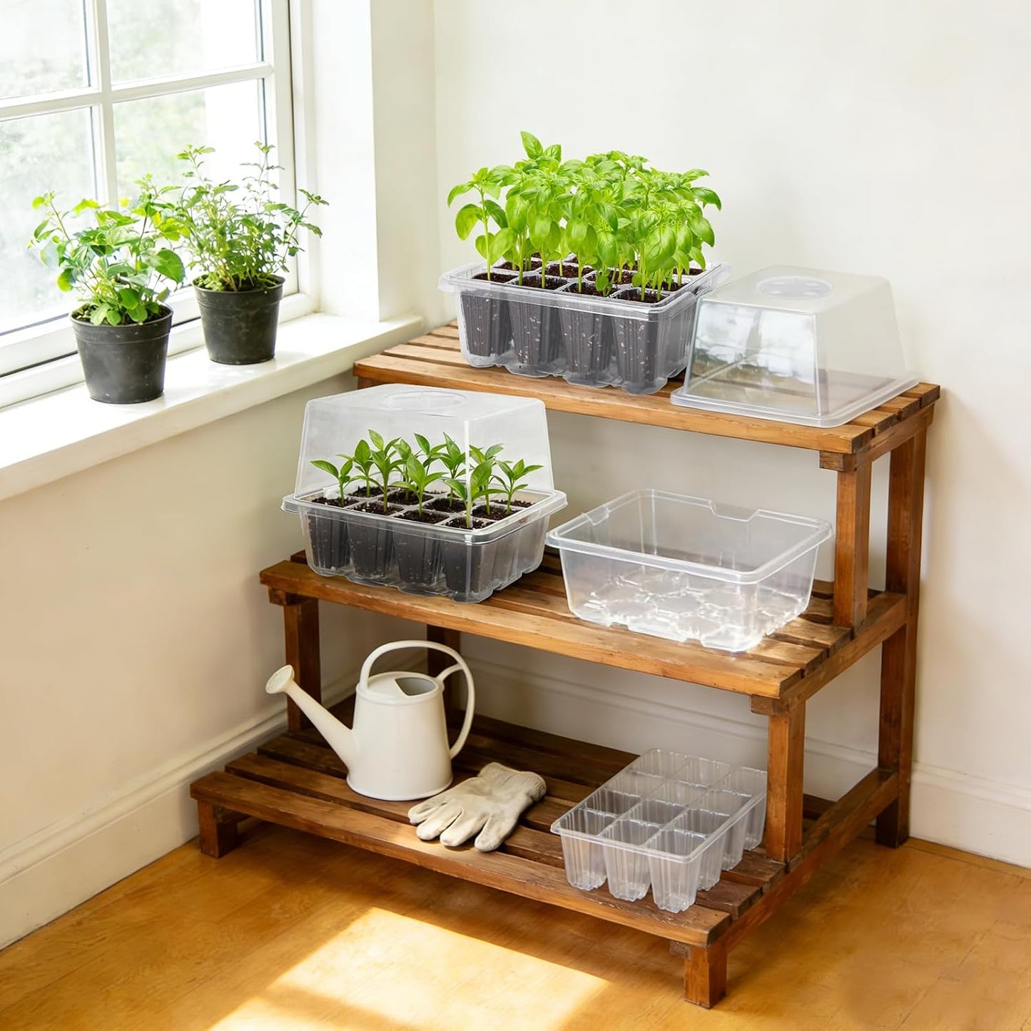 MIXC Seed Starter Tray with Elevated Lid, 120 Cells Seed Starter Kit with Adjustable Humidity Dome, Drainage Hole, Clear Heightened Lids for Indoor Outdoor Greenhouse Gardens, 10 Pack, Transparent