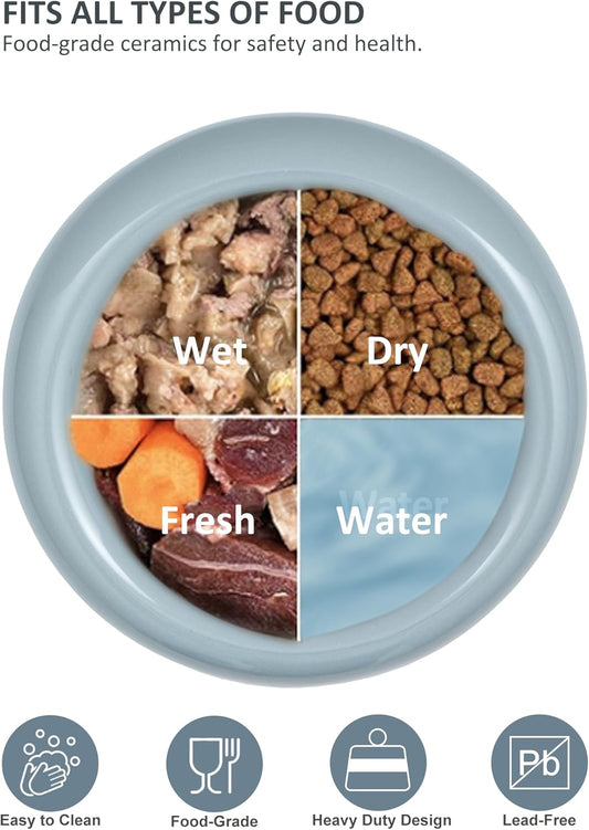 Ceramic Elevated Cat and Dog Bowls for Small Dogs, Non-Slip Tilted Raised Cat Food and Water Bowls Whisker Friendly, Standing Wet Food Bowl-Blue