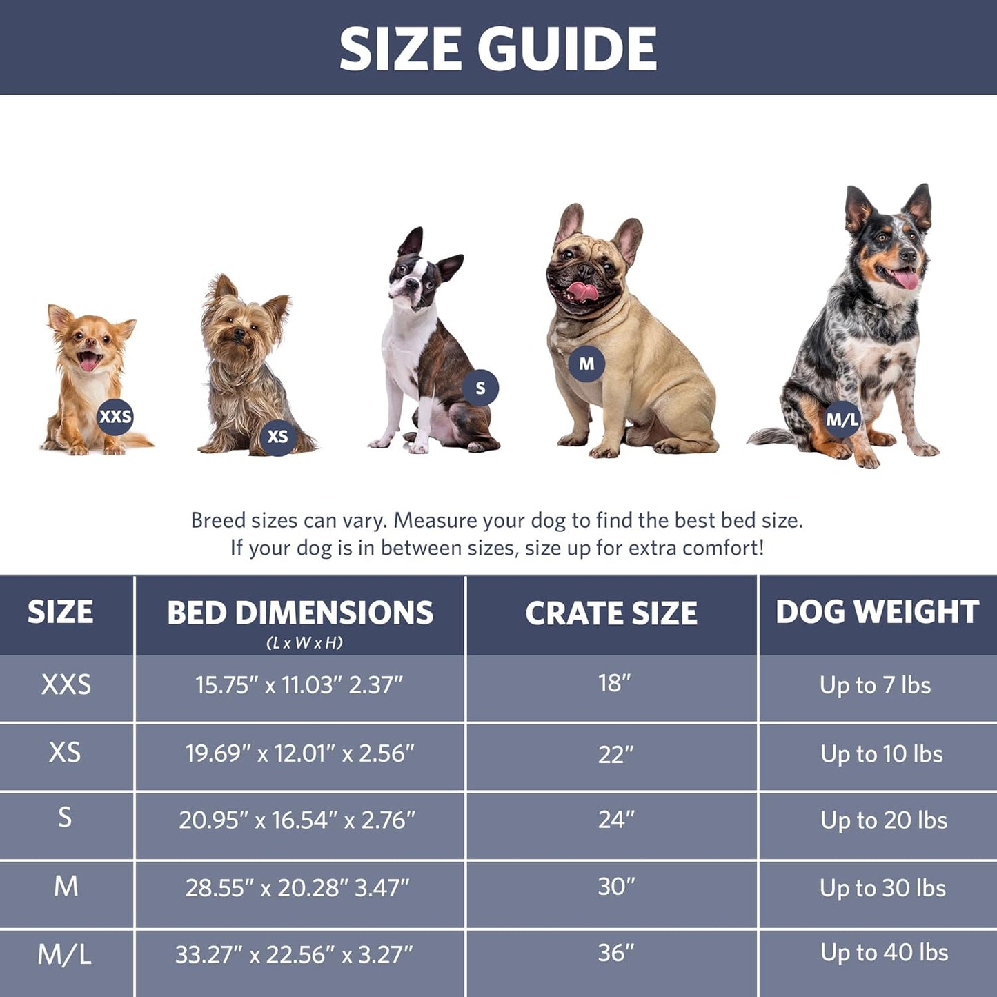 MidWest Homes for Pets QuietTime Fashion Dog Bed – Blue Faux Fur Bolster, Ultra-Soft and Machine Washable, Fits 24-Inch Crates and Carriers, for Small Breed Dogs