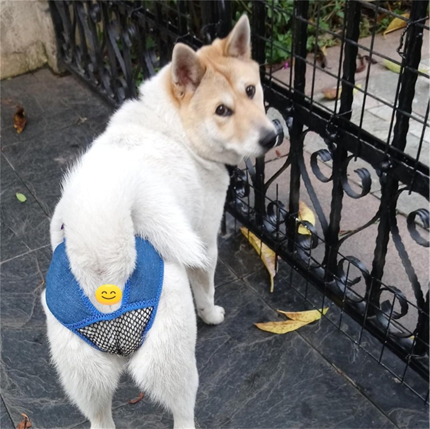 Dog Panties for Dogs in Heat, Anti Harassment, Breathable, and Excretable, Reusable Female Dog Pants to Prevent Cross-Tailing. Protect Female Dogs from Male Dogs, Dog Contraceptive Pants (l)