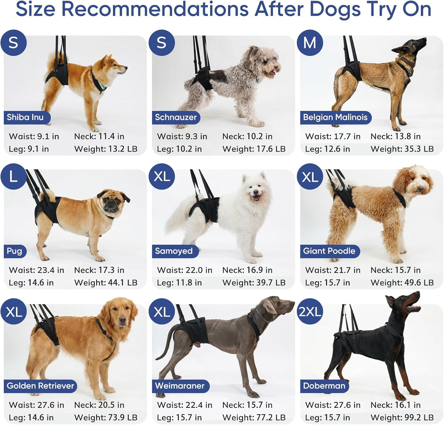 Supet Dog Sling for Large Dogs Hind Leg Support, Senior Dogs Lift Assist Harness for Weak Back Leg Support, Help Large Breed Rear Leg Up Harness, Mobility Aids for Elderly, Injured, Paralyzed Dog, M