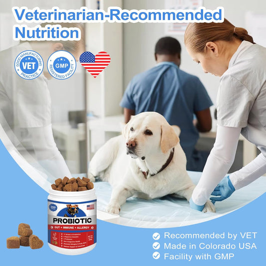 Probiotics for Dogs 200 Chews - Dog Probiotics with 6 Digestive Enzymes,4 Prebiotics,11 Billion CFUs, Colostrum - for Gut Gas Health, Yeast Balance, Skin & Coat, Seasonal Allergies Immune Support