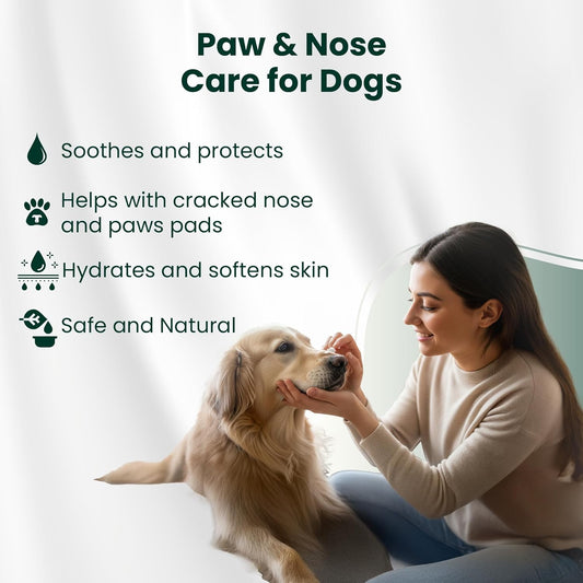 Bio PetActive Paw & Nose Balm for Dogs - 100% Natural Lick-Safe Moisturizing Balm with Vitamin E-Rich Olive Oil, Calendula & Beeswax - Helps Protect, Heal & Soothe Dry Cracked Paws & Nose - 1.75 oz