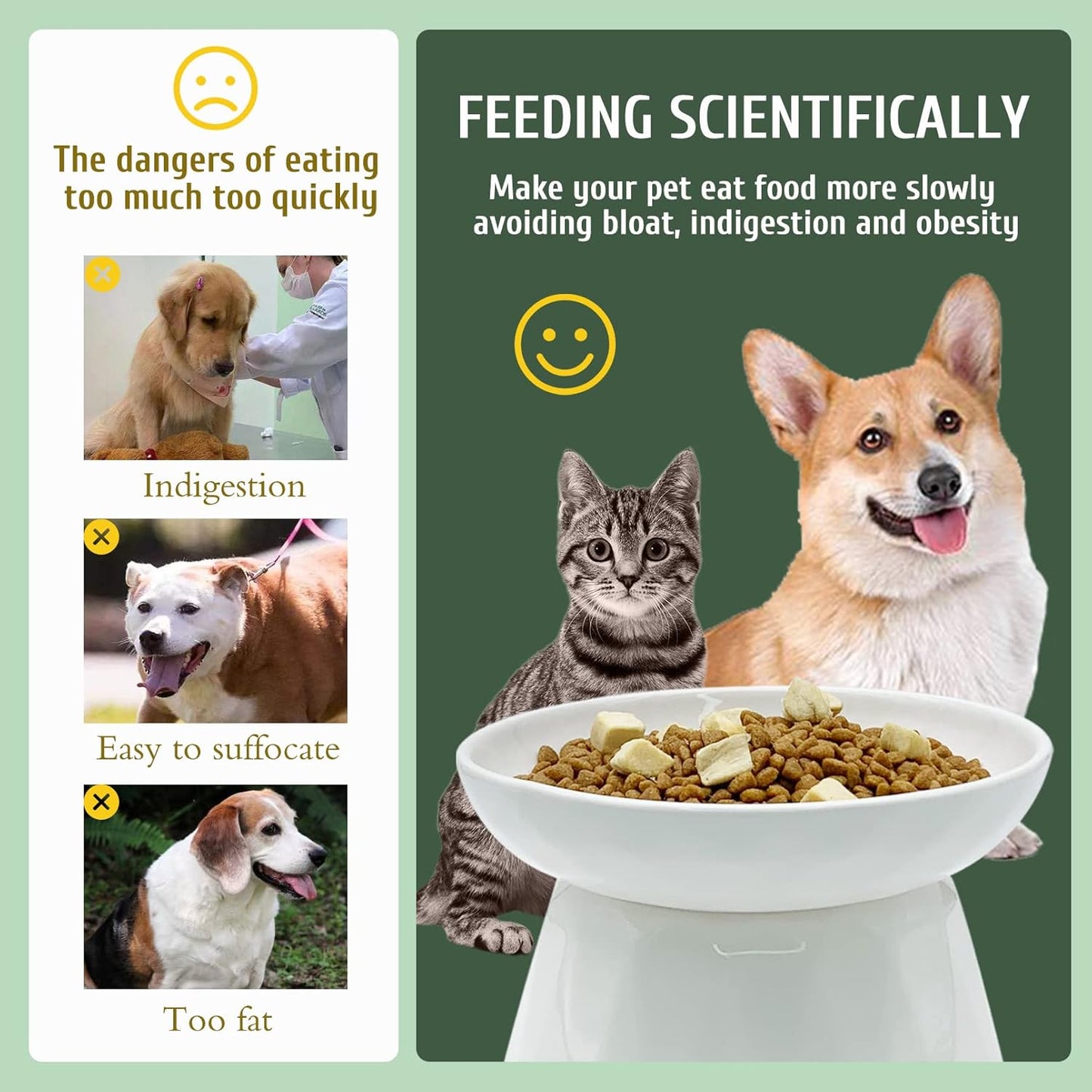 BNOSDM Raised Cat Slow Feeder Bowl Elevated Shallow Cat Dish Whisker Fatigue Slow Eating Bowls Cute Wet Food Puzzle Bowls for Indoor Small Cats Kitten