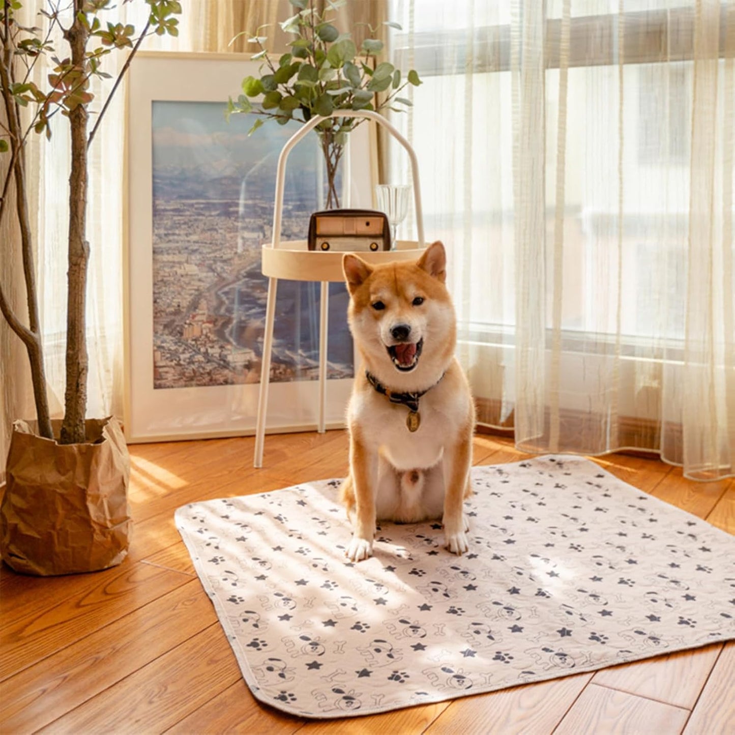 Training Pads – Reusable Pee Mats for Pet Learning | Fast Absorb Core Layers, Washable Multi Use Design, Leak Guard Structure & Indoor Care Features for Cat Potty Practice, Crate Resting, Travel Setup