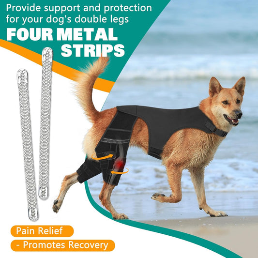 Dog Knee Brace for Hind Legs ACL Support - Adjustable Double Leg Dog Brace for Joint Pain Relief, Luxating Patella, Arthritis Recovery - Secure Fit Orthopedic Wrap for Small Medium Large Dogs (XXL)