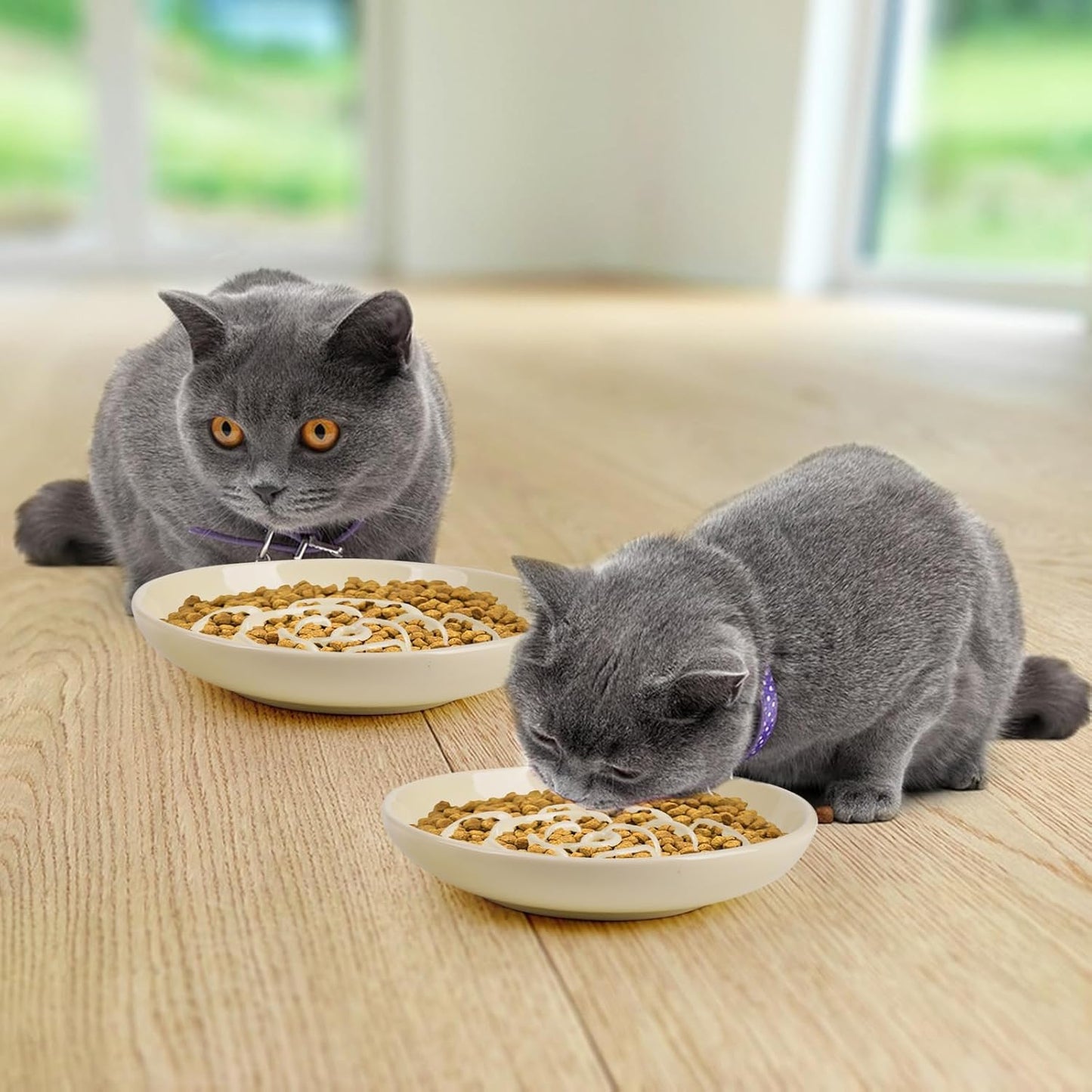 Slow Feeder Cat Bowl Set of 2, Ceramic Slow Feeding Cats Bowl Whisker Friendly, Anti Vomiting Cat Feeder for Dry and Wet Food,Fun Maze Interactive Bloat Stop Puzzle Bowls for Healthy Eating Diet