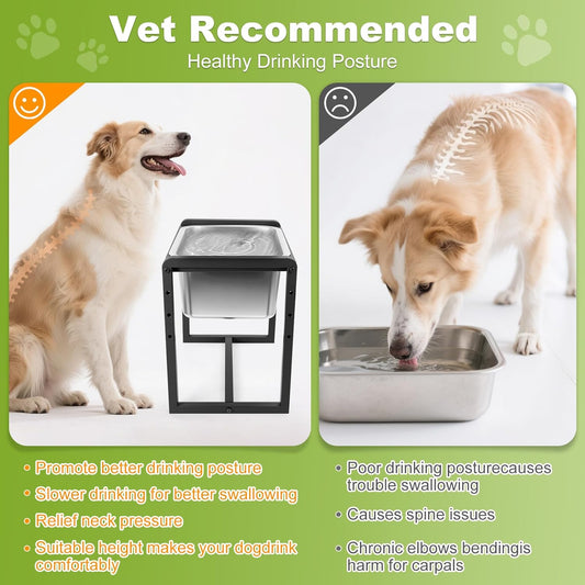 Adjustable Height Elevated Large Dog Water Bowls with Stainless Steel Bowls and Metal Stand,4-Level (8/10/12/14 Inches) Pet Bowl for Dogs for Large Medium Dogs - Durable, Easy to Clean (2gallon)