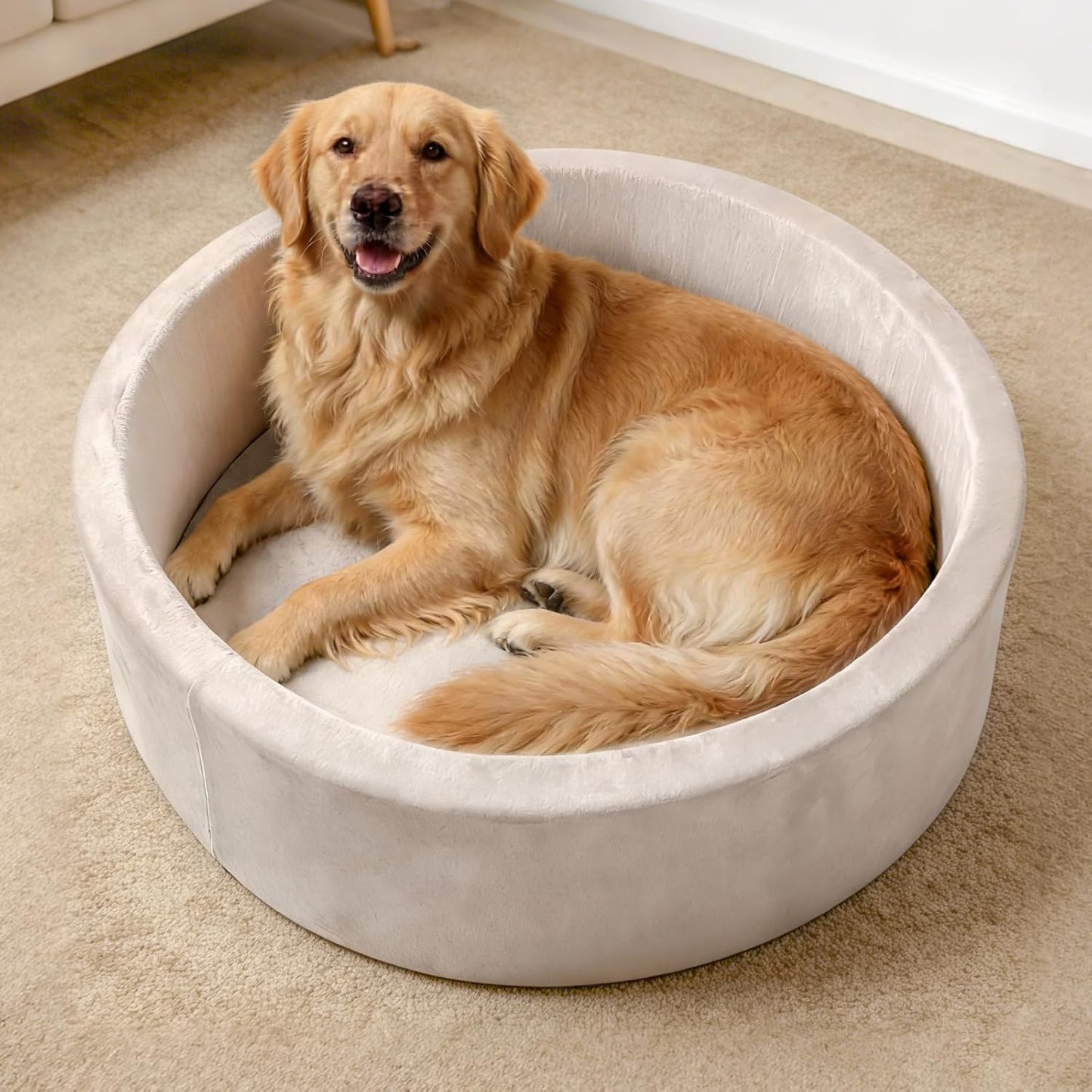 39 Inch Round Dog Bed Ball Pit, Indoor Playpen for Cats and Small Dogs, Dual Use Pet Play and Rest Area, Gray (Balls Not Included)